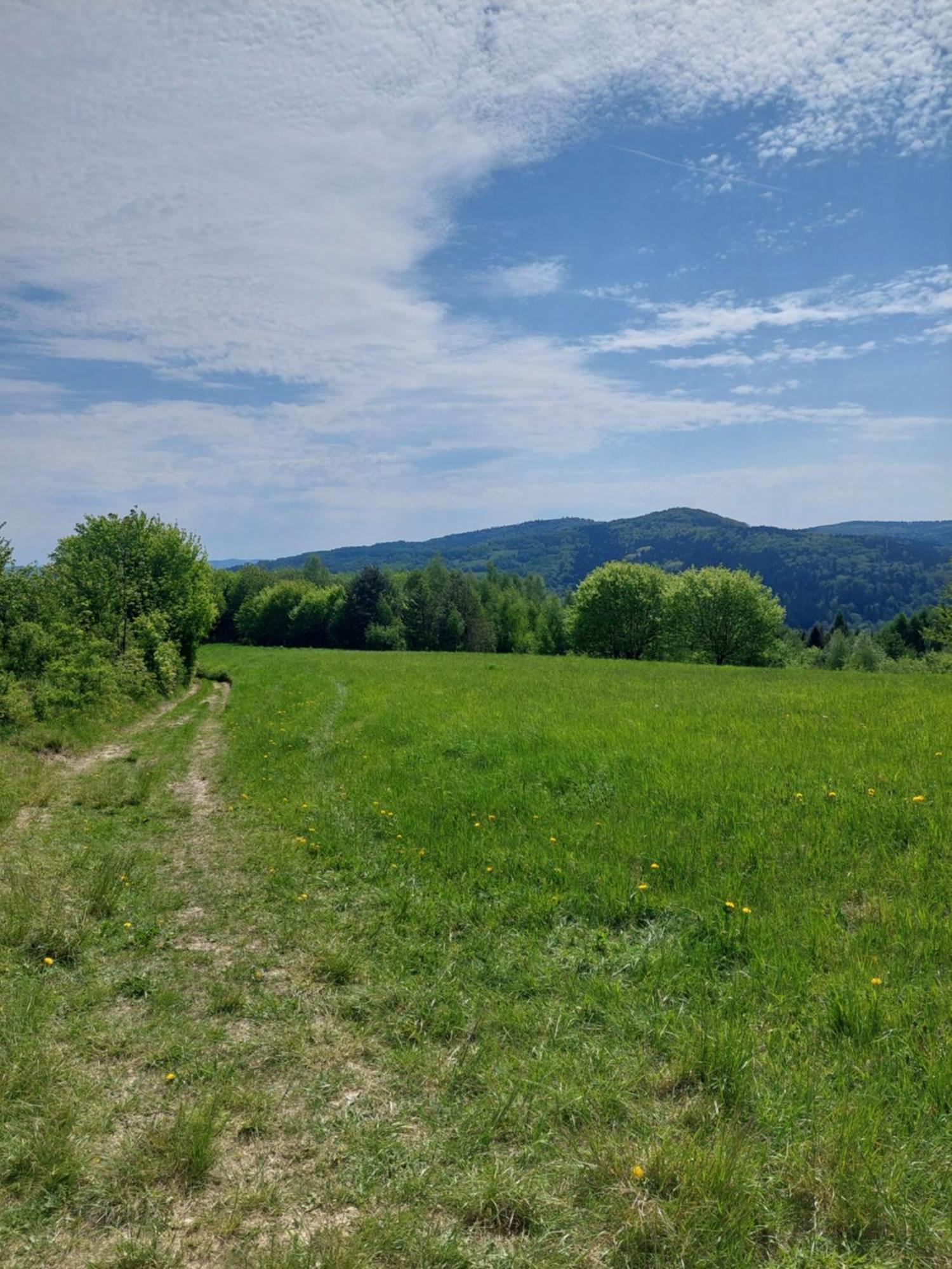 Apartmán Brzozowy Zakatek Posada Gorna Exteriér fotografie
